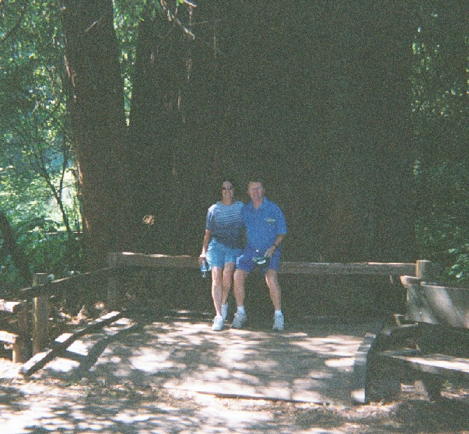 Muir Woods