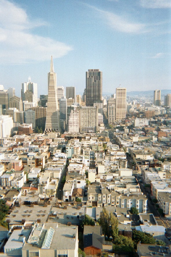 Coit Tower View