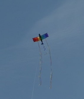 Kite